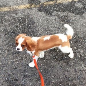 Meet your Posher, Talia